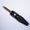FP-704(G)